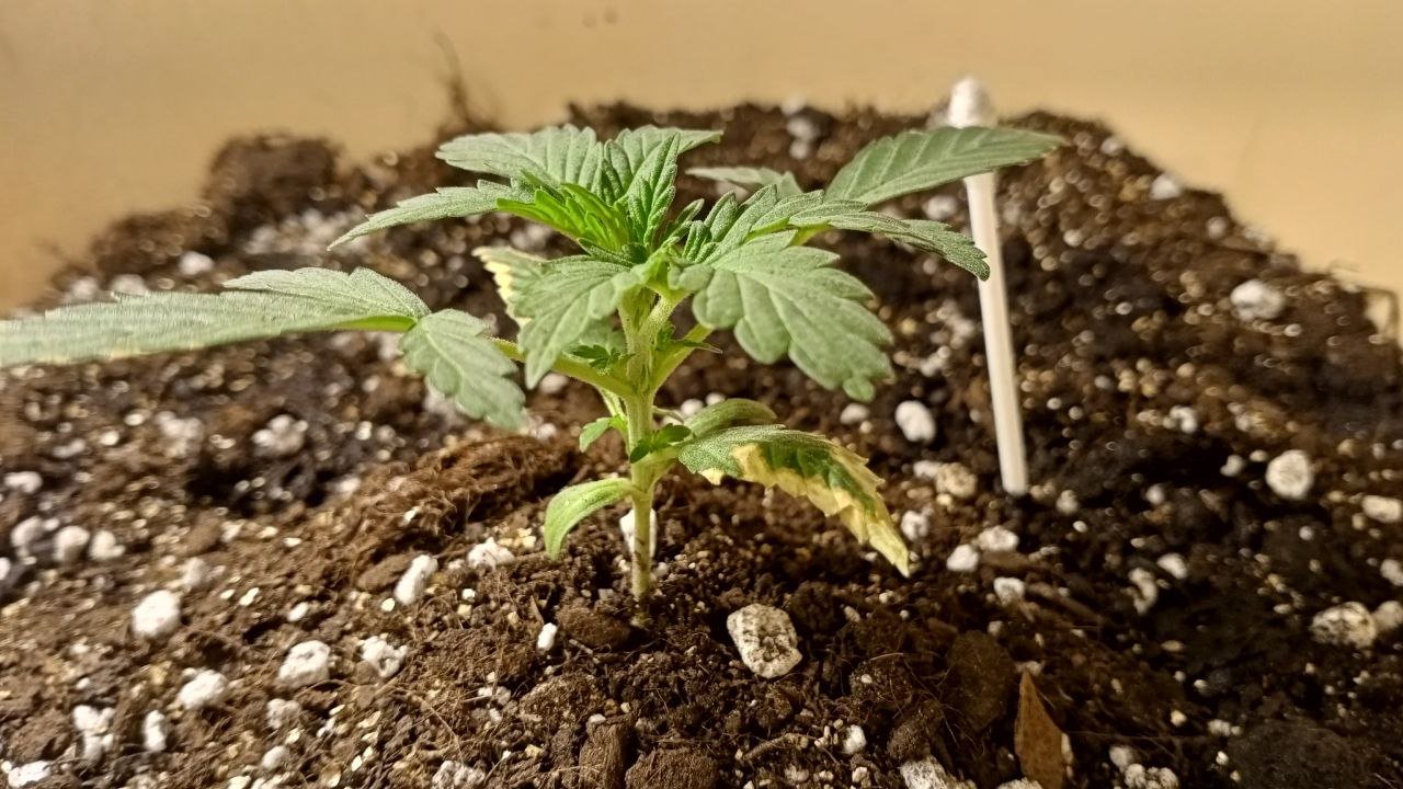 photo_2022-10-24_12-33-14.jpg photo_2022-10-24_12-33-14.jpg