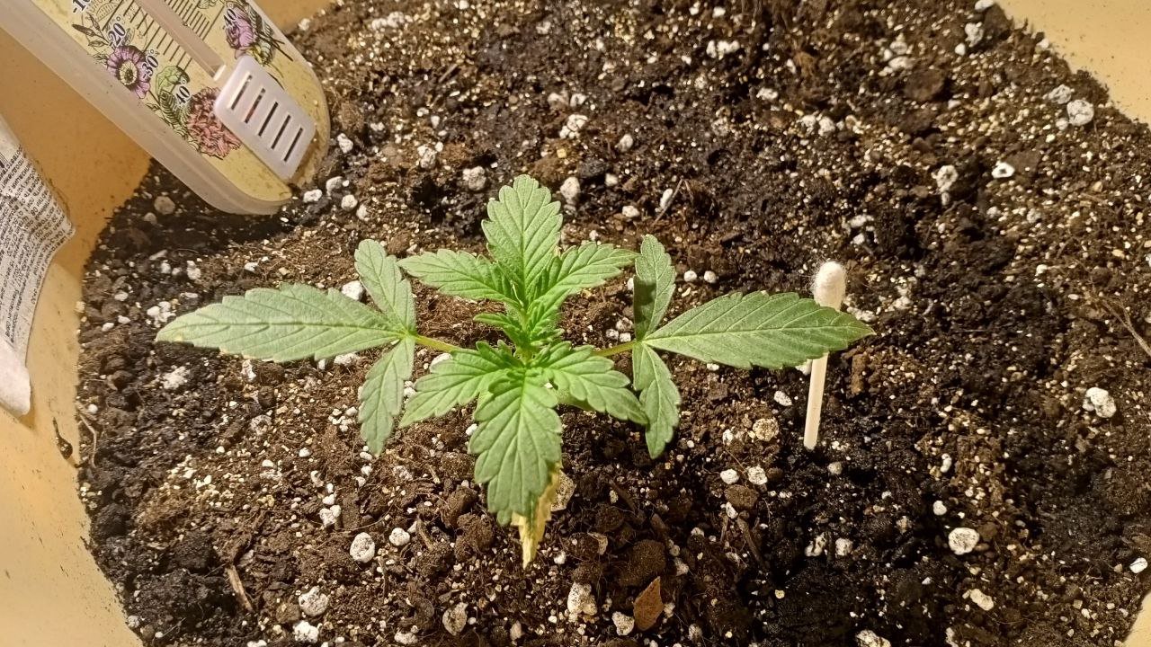 photo_2022-10-24_12-33-15.jpg photo_2022-10-24_12-33-15.jpg