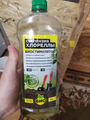 IMG_20221025_204350.jpg IMG_20221025_204350.jpg