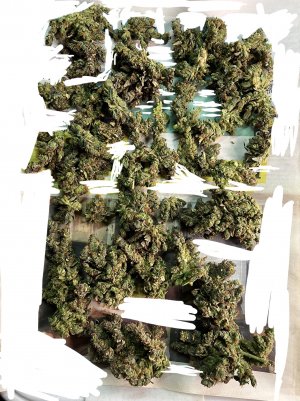 746E0563-7F24-4DED-8989-869C453AF678.jpeg 746E0563-7F24-4DED-8989-869C453AF678.jpeg