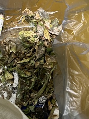 68596315-E3E8-46C5-B6A0-724C3BD2E3A3.jpeg 68596315-E3E8-46C5-B6A0-724C3BD2E3A3.jpeg