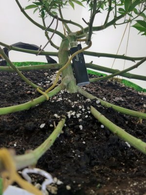 20221025_211053.jpg 20221025_211053.jpg