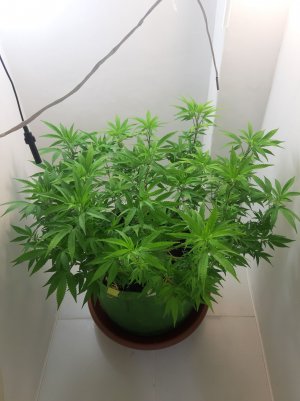 20221025_211421.jpg 20221025_211421.jpg