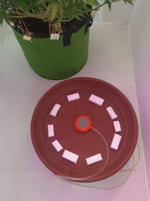 20221026_090839.jpg 20221026_090839.jpg