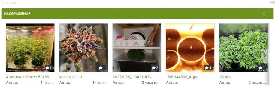 OnPaste.20221026-160047.jpg OnPaste.20221026-160047.jpg