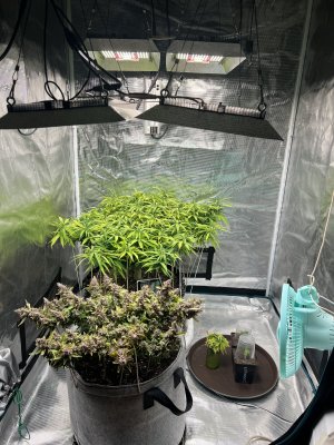 E1555C0B-A9DF-48AC-892B-7981D670497C.jpeg E1555C0B-A9DF-48AC-892B-7981D670497C.jpeg