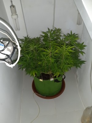 20221027_083452.jpg 20221027_083452.jpg