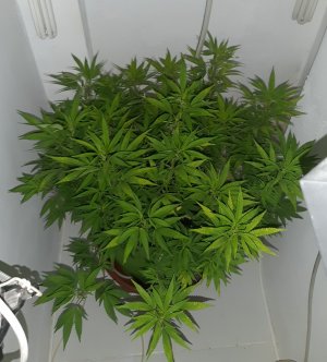 20221027_101143.jpg 20221027_101143.jpg