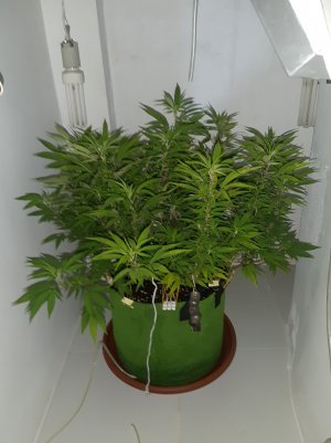 20221027_101117.jpg 20221027_101117.jpg