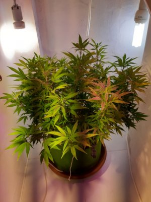 20221027_102002.jpg 20221027_102002.jpg