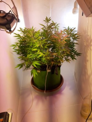 20221027_101948.jpg 20221027_101948.jpg