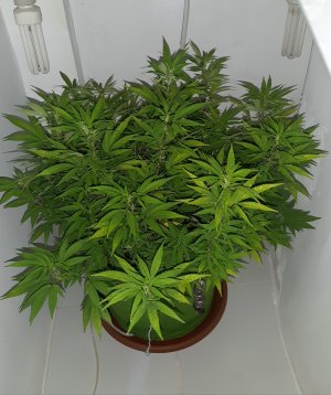 20221027_110447.jpg 20221027_110447.jpg