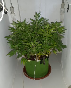 20221027_110414.jpg 20221027_110414.jpg