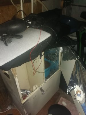 IMG_20221027_204219.jpg IMG_20221027_204219.jpg