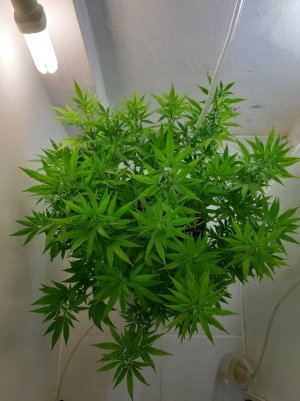 20221028_090132.jpg 20221028_090132.jpg