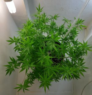 20221028_090546.jpg 20221028_090546.jpg