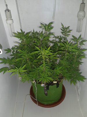 20221028_091237.jpg 20221028_091237.jpg