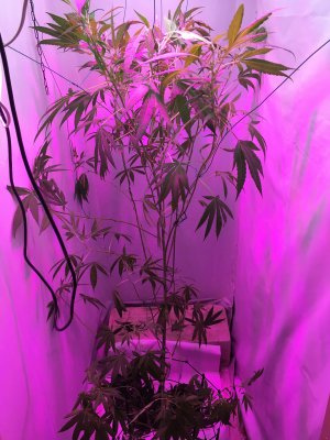 28 (41).JPG 28 (41).JPG