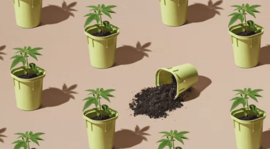 1667073669998.png 1667073669998.png