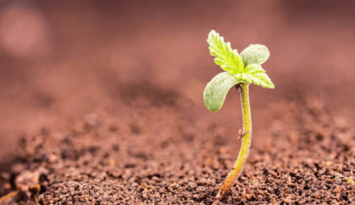 1667073778477.png 1667073778477.png