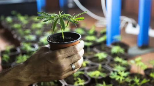 1667073828664.png 1667073828664.png