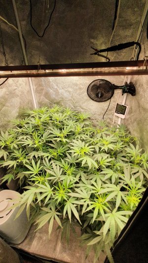 20221030_210348.jpg 20221030_210348.jpg