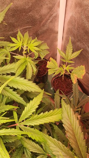 20221030_213607.jpg 20221030_213607.jpg