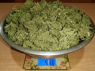 аля.jpg аля.jpg