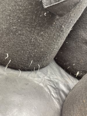 IMG_0467.JPG IMG_0467.JPG