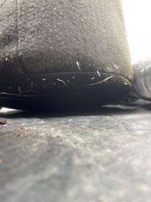 camphoto_758783491.JPG camphoto_758783491.JPG