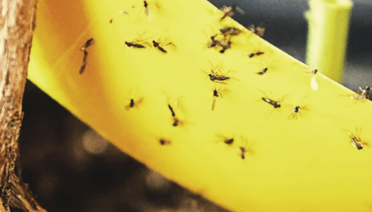 1667248321086.png 1667248321086.png