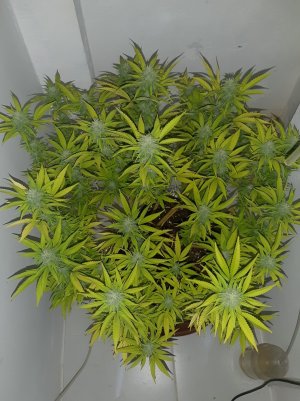 20221102_140204.jpg 20221102_140204.jpg