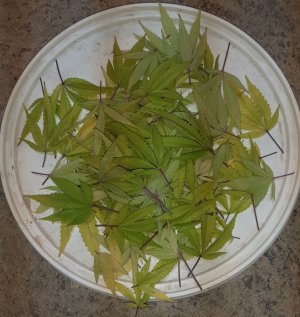 20221102_140725.jpg 20221102_140725.jpg