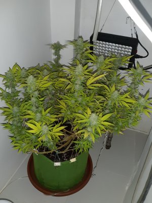 20221102_143124.jpg 20221102_143124.jpg