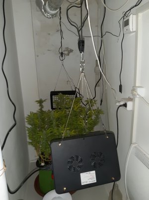 20221102_143046.jpg 20221102_143046.jpg