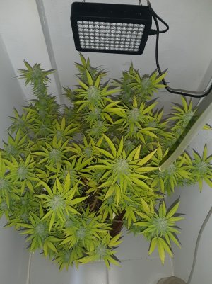 20221103_090019.jpg 20221103_090019.jpg