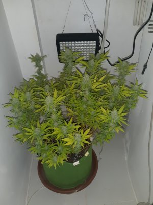 20221103_090043.jpg 20221103_090043.jpg