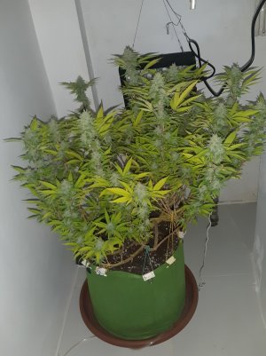 20221103_090031.jpg 20221103_090031.jpg