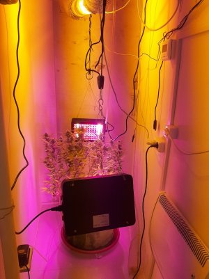 20221103_085944.jpg 20221103_085944.jpg