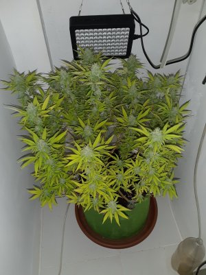 20221103_111001.jpg 20221103_111001.jpg