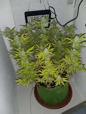 20221103_110930.jpg 20221103_110930.jpg