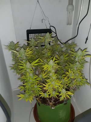 20221103_111612.jpg 20221103_111612.jpg