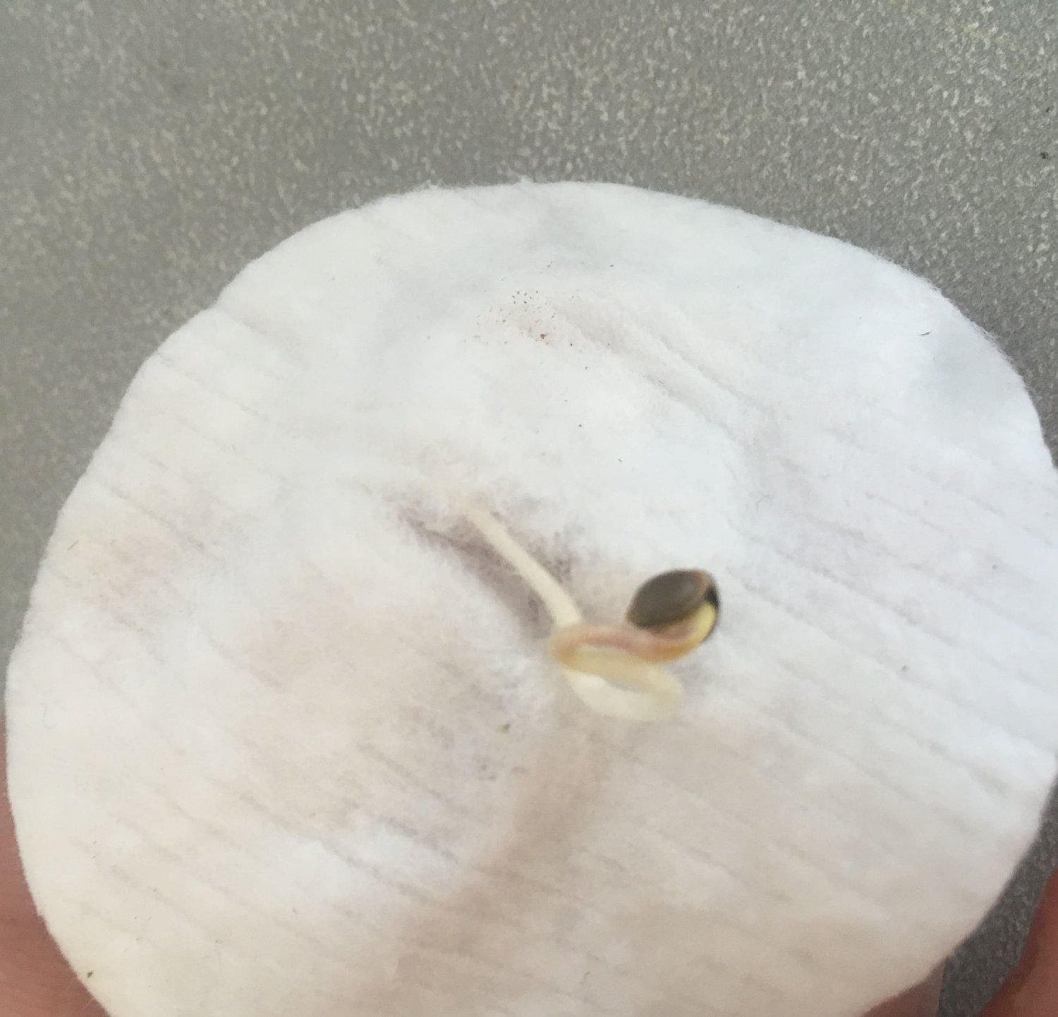 imgonline-com-ua-dexifweb68v4tA3i6.jpg imgonline-com-ua-dexifweb68v4tA3i6.jpg