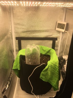 imgonline-com-ua-dexifZS1ymMrvRRl5.jpg imgonline-com-ua-dexifZS1ymMrvRRl5.jpg