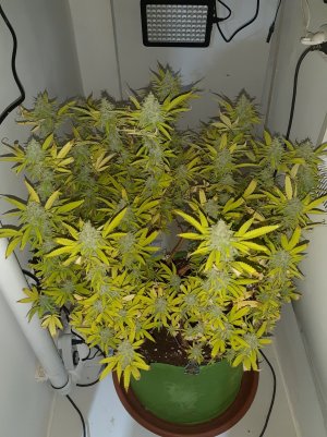 20221104_135803.jpg 20221104_135803.jpg