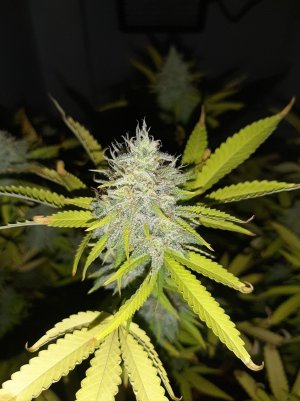 20221104_135722.jpg 20221104_135722.jpg