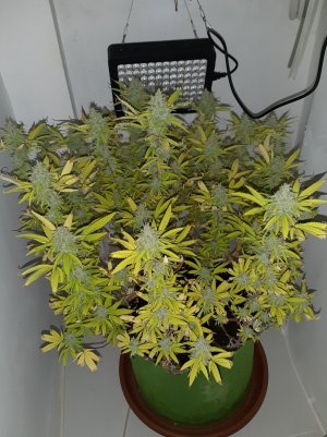 20221104_141544.jpg 20221104_141544.jpg