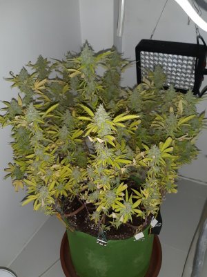 20221104_212641.jpg 20221104_212641.jpg