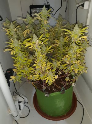 20221104_213400.jpg 20221104_213400.jpg