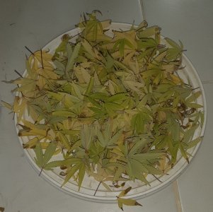 20221104_213338.jpg 20221104_213338.jpg